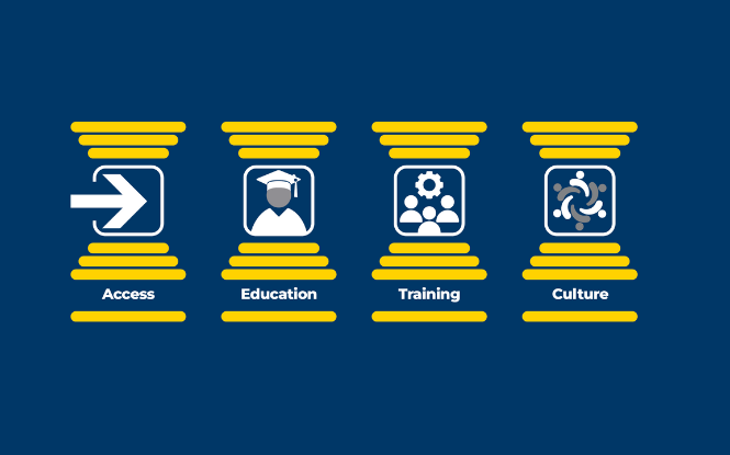 RVC strategic plan pillars graphic