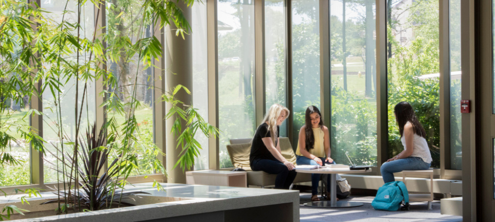 students studying in the hall by window